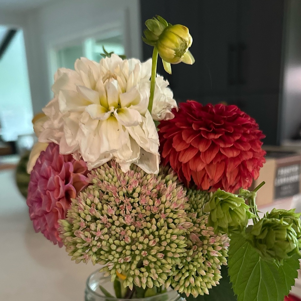 Meet your Posher, Umbereen